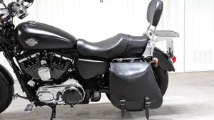 Harley-Davidson 1200 Custom (2018 - 20) - XL1200C  (3)