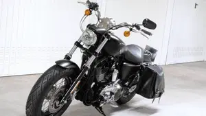 Harley-Davidson 1200 Custom (2018 - 20) - XL1200C  (7)