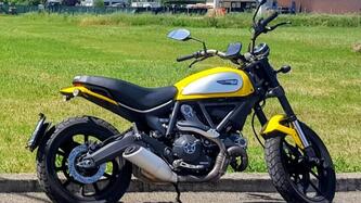 Ducati Scrambler 800 Icon (2015 - 16)