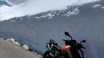 KTM 790 Duke (2018 - 20) usata