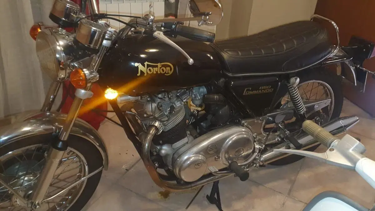 Norton   (4)