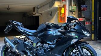 Kawasaki Ninja 636 ZX-6R (2019 - 20)