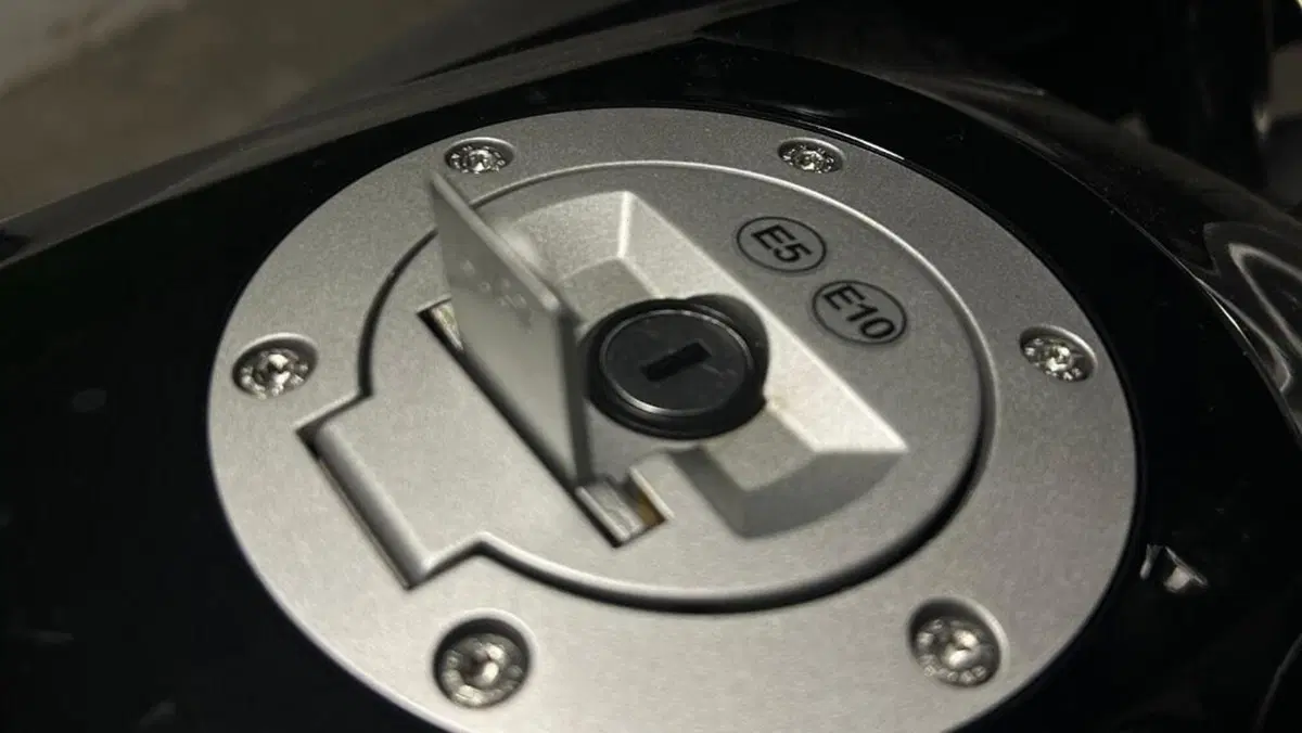 Bmw F 750 GS (2021 - 24)  (2)