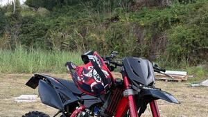 Betamotor RR 50 Enduro Racing (2018 - 20) 