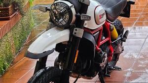 Ducati Scrambler 800 Desert Sled (2017 - 20) 