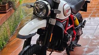 Ducati Scrambler 800 Desert Sled (2017 - 20) usata