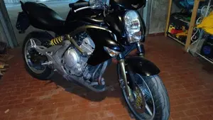 Kawasaki ER-6N (2006 - 09)  (2)