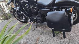 Harley-Davidson 1200 Forty-Eight (2010 - 15) 