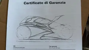 Ducati Multistrada V4 RS (2024 - 25)  (9)