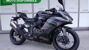 Kawasaki Ninja ZX-4RR (2024 - 26) 