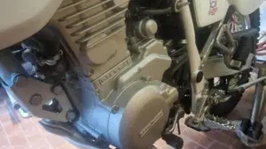 Gilera   (11)