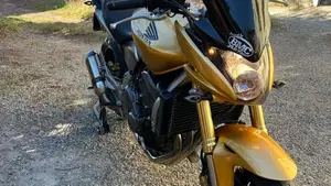 Honda Hornet 600 (2007 - 10)  (9)