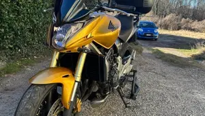 Honda Hornet 600 (2007 - 10)  (10)