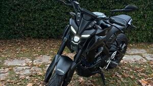 Yamaha MT-125 (2021 - 24) 