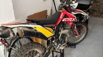 GASGAS EC 300 (2010)