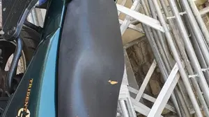 Triumph   (8)