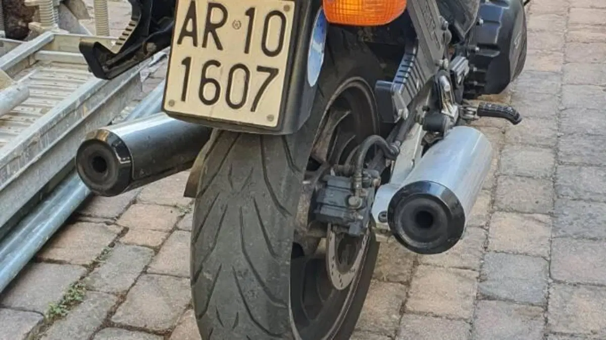 Triumph   (7)