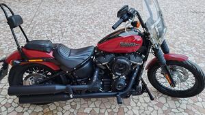 Harley-Davidson Softail Standard (2021 - 25) 