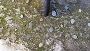 Aprilia Atlantic 500 (2001 - 02) 