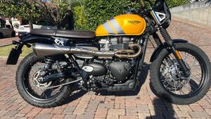 Triumph Scrambler 900 (2023 - 25) 