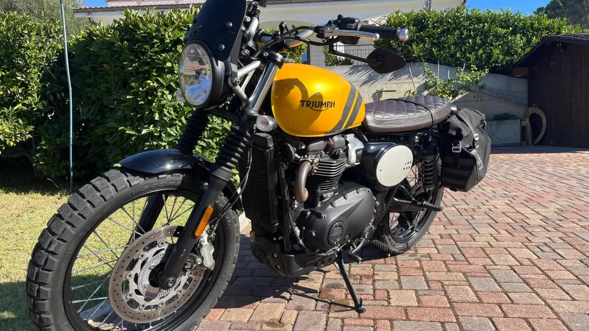 Triumph Scrambler 900 (2023 - 25)  (3)