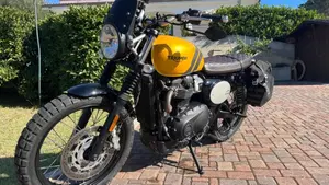 Triumph Scrambler 900 (2023 - 25)  (3)