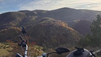 Ducati Scrambler 1100 Sport (2018 - 20) usata