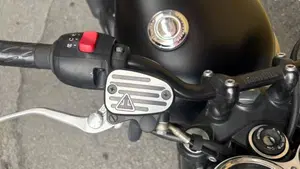 Triumph Bonneville T100 Black (2017 - 20)  (8)