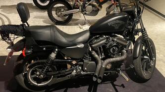 Harley-Davidson 883 Iron (2017 - 20) - XL 883N