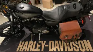 Harley-Davidson 883 Iron (2017 - 20) - XL 883N  (5)