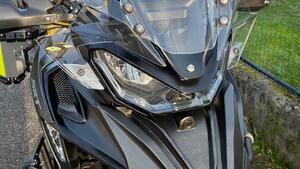 QJ Motor SRT 800 SX (2024 - 25) 