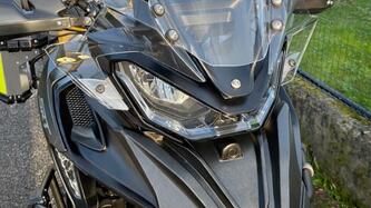 QJ Motor SRT 800 SX (2024 - 25) usata