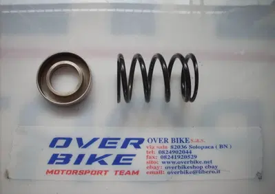 MOLLA E SCODELLINO VARIATORE GLADIATOR 500 Cectek - Annuncio 9917473