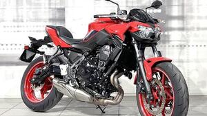 Kawasaki Z 650 50th Anniversary (2022 - 23) 