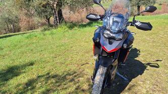 Triumph Tiger 900 GT Pro (2024 - 26)