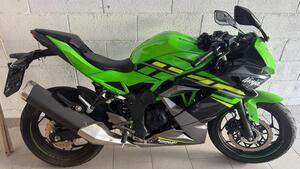 Kawasaki Ninja 125 (2021 - 24) 