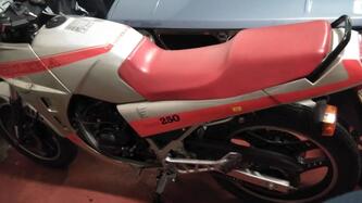 Gilera NGR 250 epoca