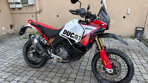 Ducati DesertX Rally (2024 - 25) 