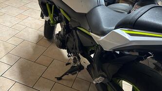 Kawasaki Z 650 (2021 - 24)