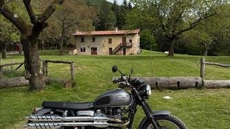 Triumph Scrambler (2006 - 17) usata