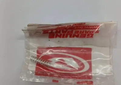 22.39232.000 MOLLA MINIMO CARB. KEIHIN Betamotor - Annuncio 9919095
