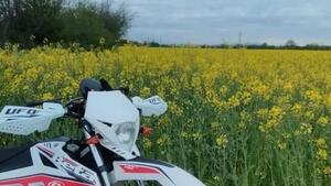 Betamotor RR 50 Enduro (2011 - 18) 