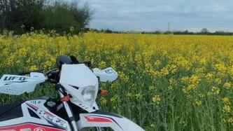 Betamotor RR 50 Enduro (2011 - 18)