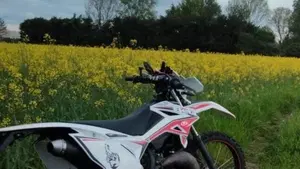 Betamotor RR 50 Enduro (2011 - 18)  (7)