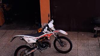 Betamotor RR 50 Enduro (2011 - 18) usata