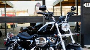 Harley-Davidson 1200 SuperLow (2014 - 16) - XL 1200T 