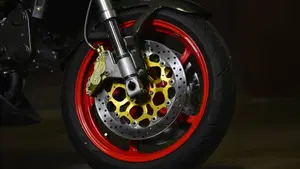 Ducati Monster S4 (2001 - 03)  (11)