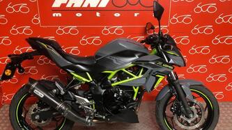 Kawasaki Z 125 (2021 - 24)