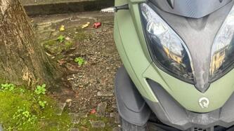 Quadro Quadro 3 350 (2017 - 18) usata