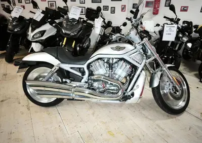 Harley-Davidson 1130 V-Rod (2002 - 05) - VRSCA - Annuncio 9919706